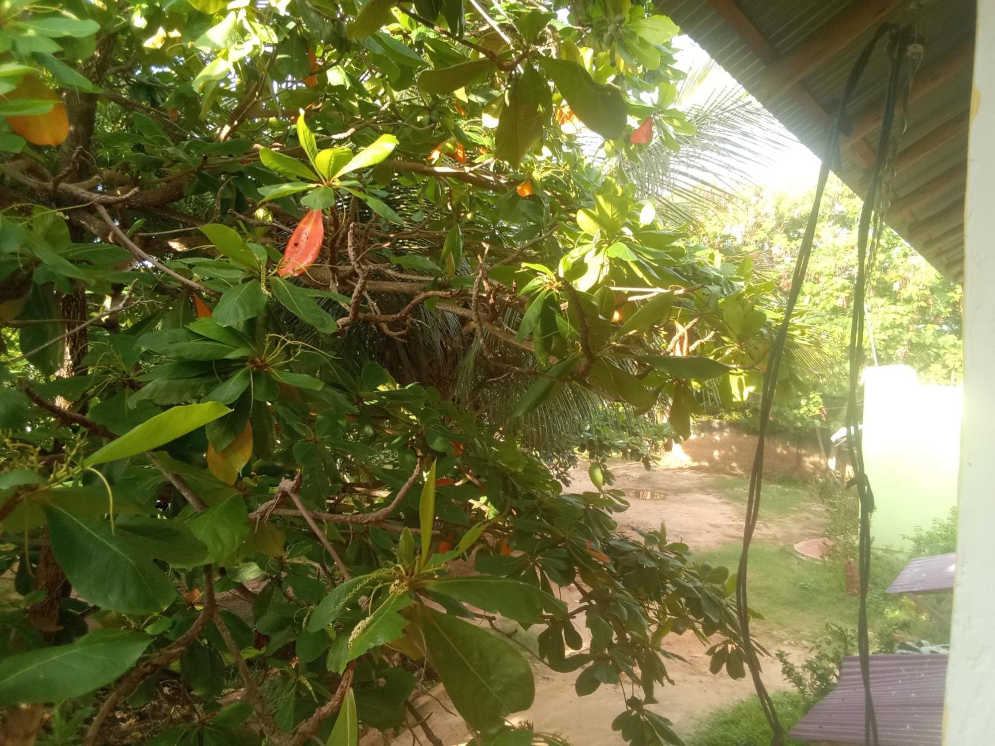 Magharibi House Apartment Nungwi Bagian luar foto